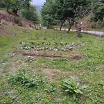 Skopelos Ktima Taladianou