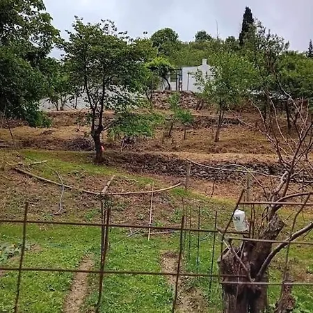 Ktima Taladianou *
