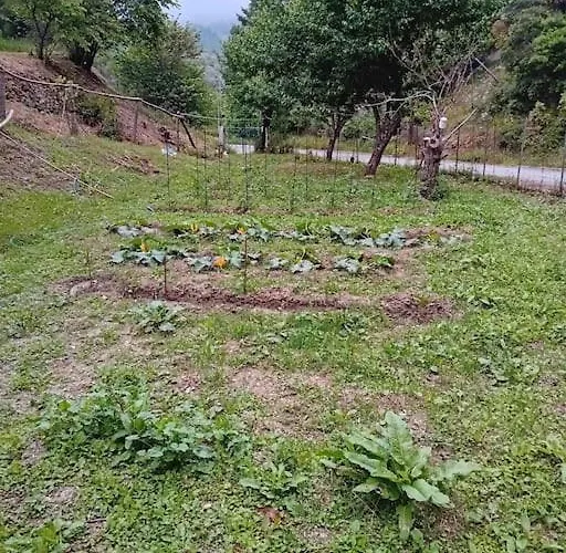 Skopelos Ktima Taladianou