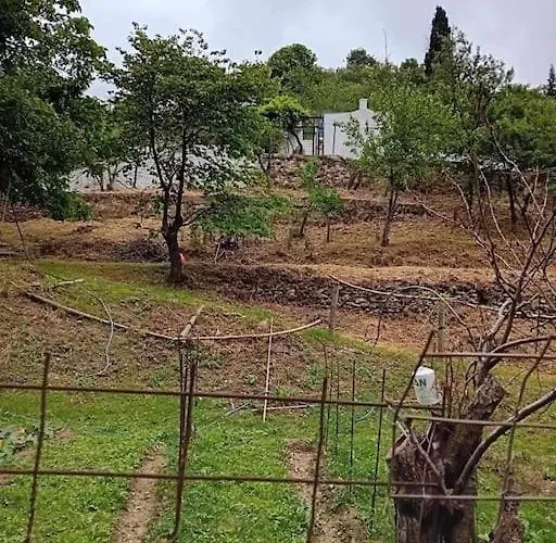 Skopelos Ktima Taladianou *